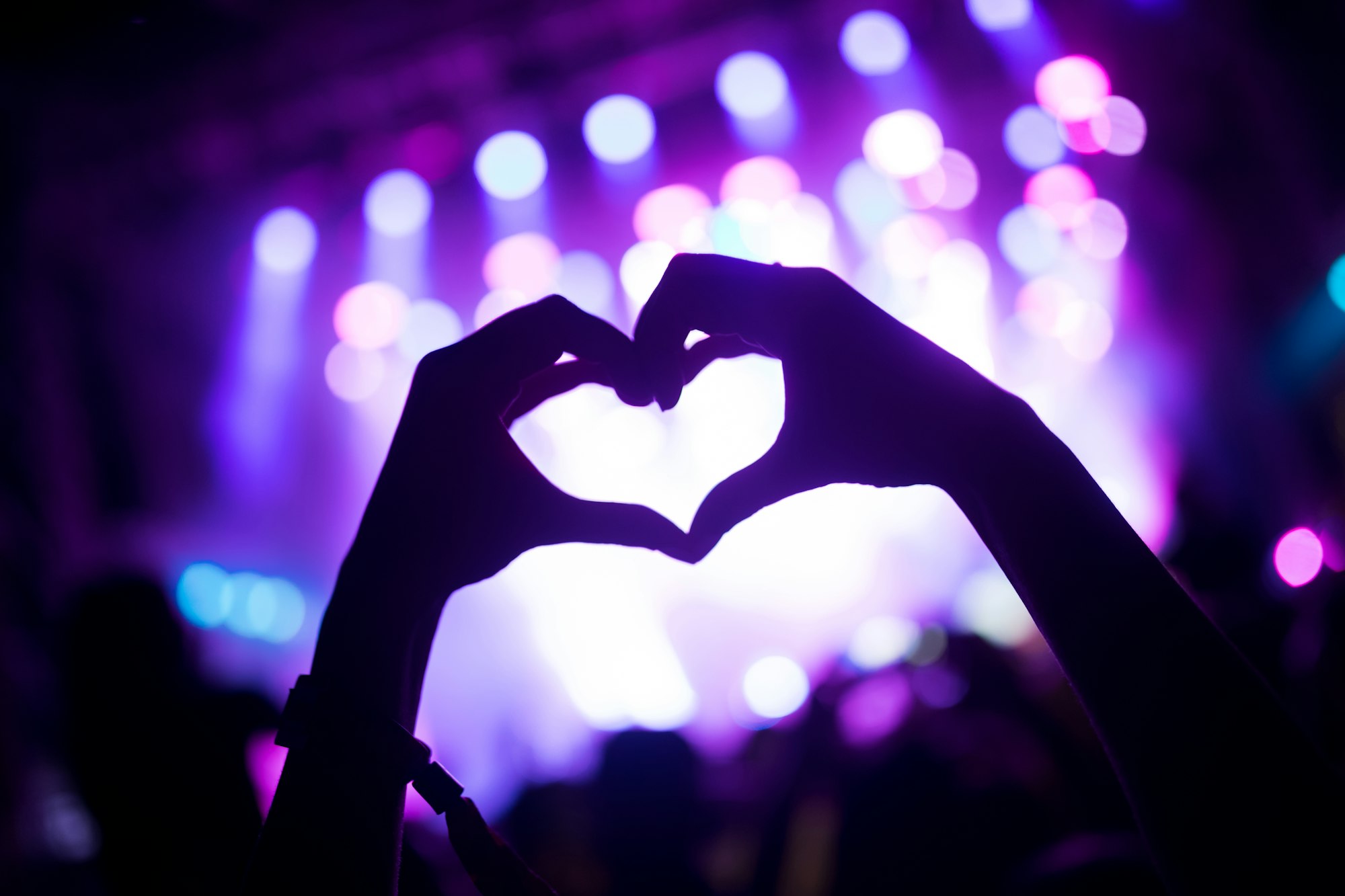 Portrait of happy crowd enjoying at music festival